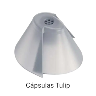 cápsula-tulip